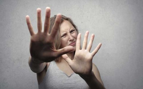 投标狗摸鱼图鉴