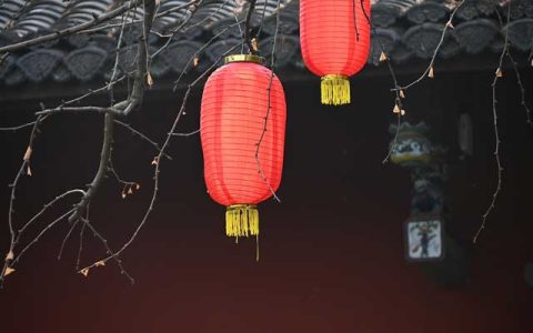 2025重新启航：IT人家园共贺新年