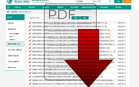 国网平台中标公示PDF无法下载？3招教你轻松搞定！